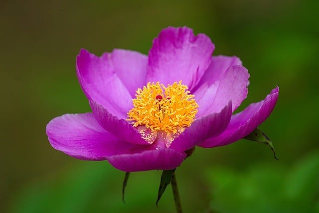 사진 6