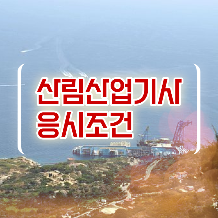  산림산업기사취업 산림산업기사 취득자격 온라인 수업으로 단기간에 성공한 과정