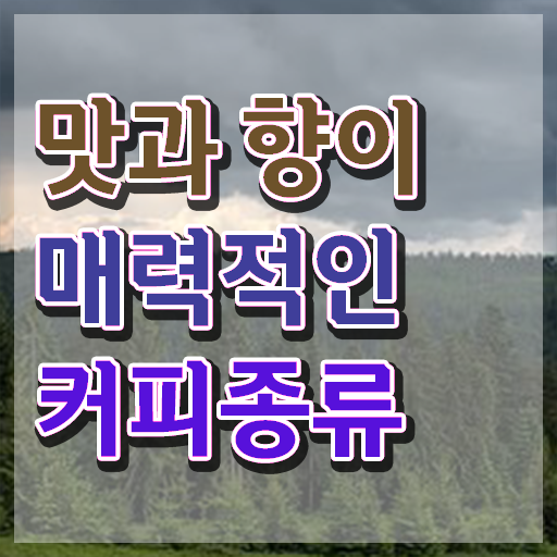  바리스타 자격증 , 바리스타 자격증 취득한 정보 정보 퍼펙트 요약