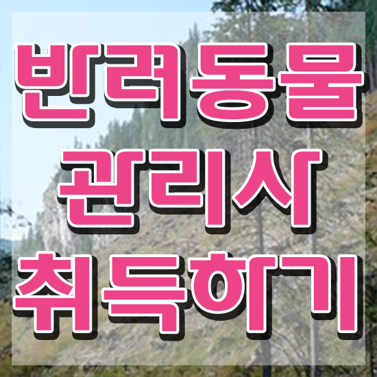  40대경단녀취업 , 반려동물관리사 자격증 온라인으로 쉽게 합격한 후기 , 이후 전망