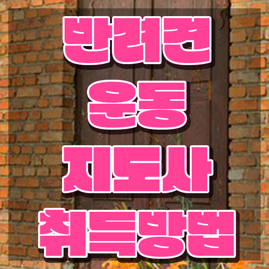  동물보건사 연수교육 , 반려견운동지도사 혼자서 독학으로 조건없이 손쉽게 끝내는 과정