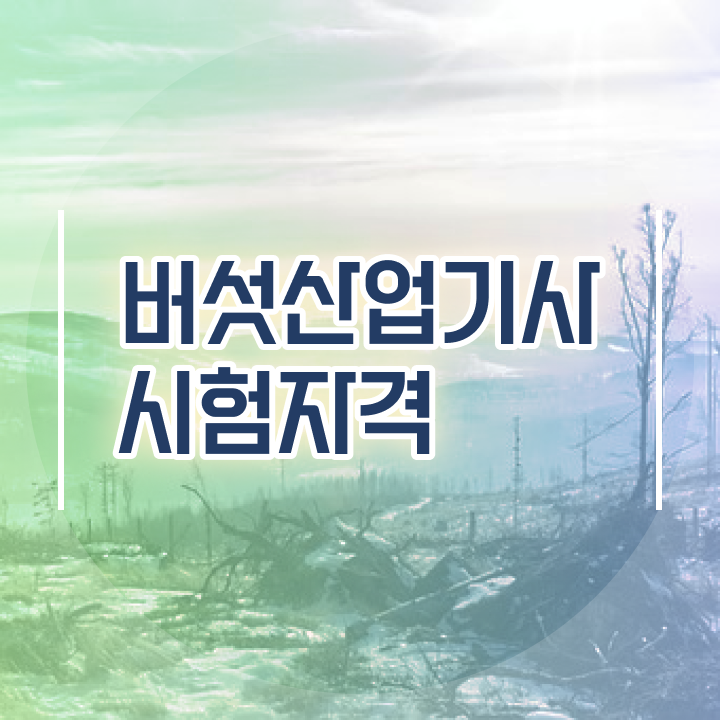  버섯산업기사 취득자격 온라인으로 15주만에 끝낸 비법