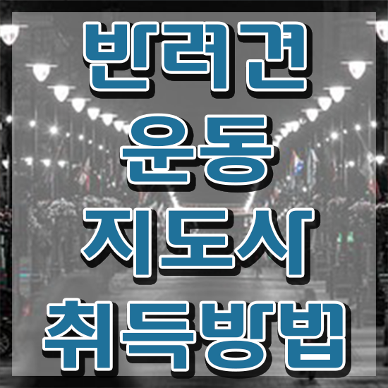  40대취업자격증 , 반려견운동지도사 혼자서 독학으로 조건없이 쉽게 성공한 비법