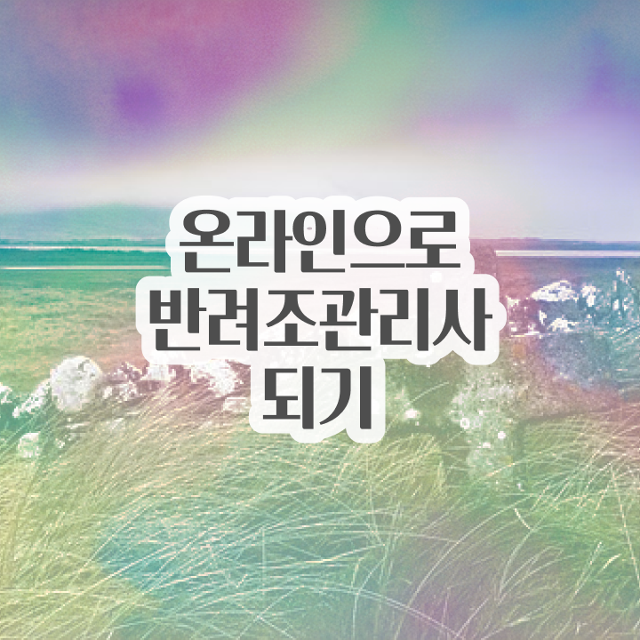  대형 앵무새 분양 , 반려조관리사 자격증 온라인으로 학습한 후기 추천합니다