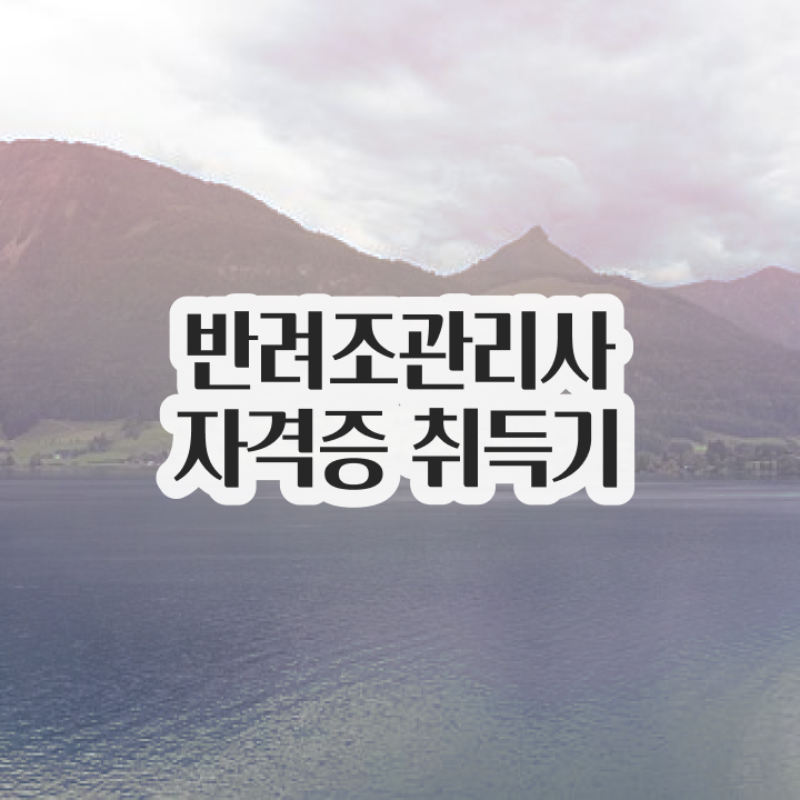  퀘이커 앵무새 가격 , 반려조관리사 자격증 응시자격 없이 준비한 과정 정리해봤어요
