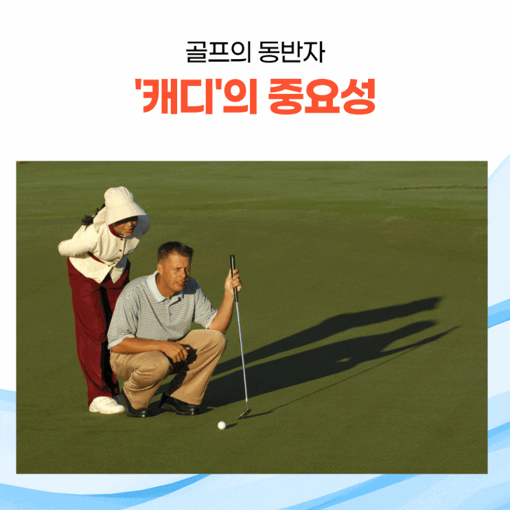  골프 캐디: 나의 든든한 파트너, 운명의 동반자
