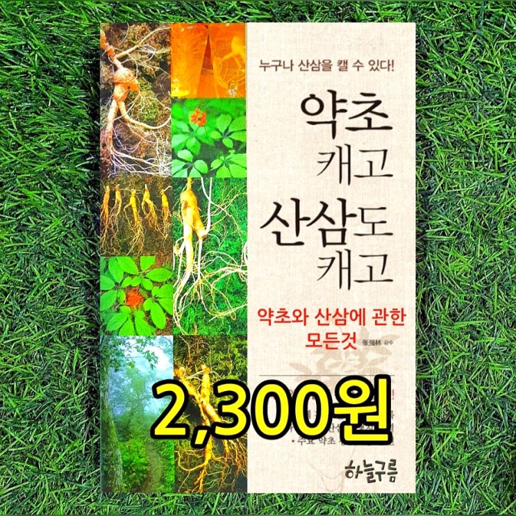  산삼잎 산삼구별법 약초책 산삼책 산삼먹는법 산삼효능 | 약초 캐고 산삼도 캐고 2,300원 산삼종류 천종산삼 지종산삼 약초와 산삼의 모든 것 중고책