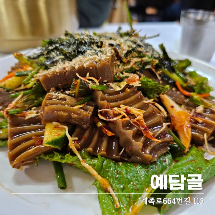  대전도토리묵밥 법동 계족산맛집 예담골