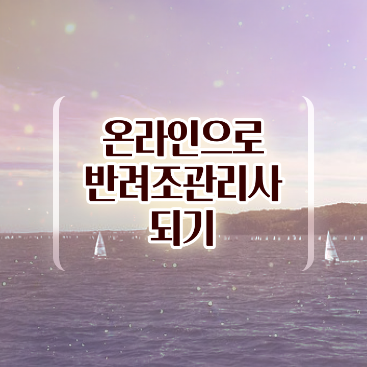  사랑앵무 수명 , 반려조관리사 자격증 준비한 과정 요약