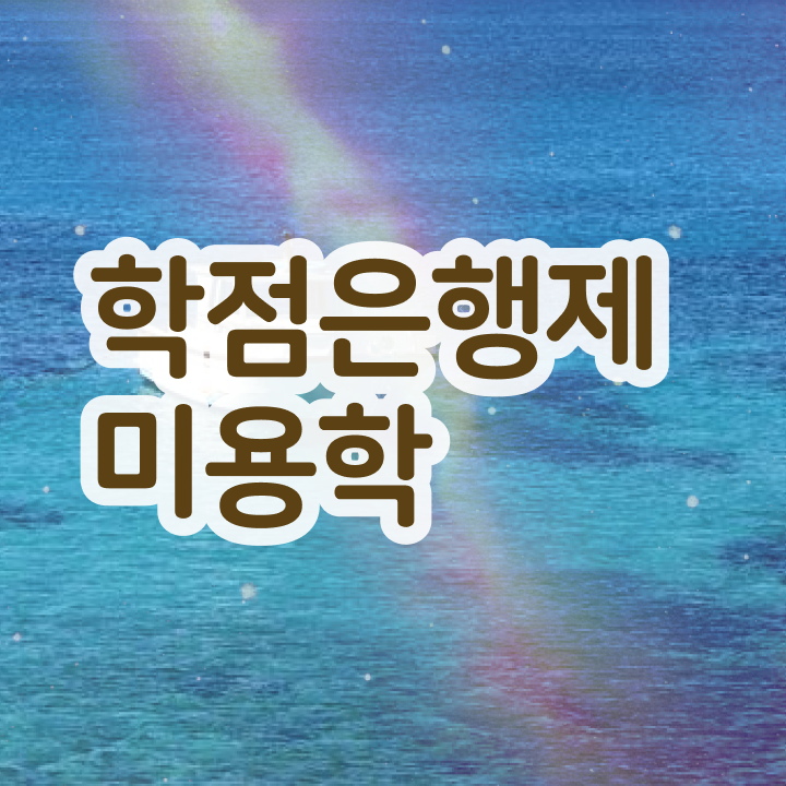  미용사 면허증 발급 , 온라인 과정만으로 미용종합면허증 갖췄던 후기