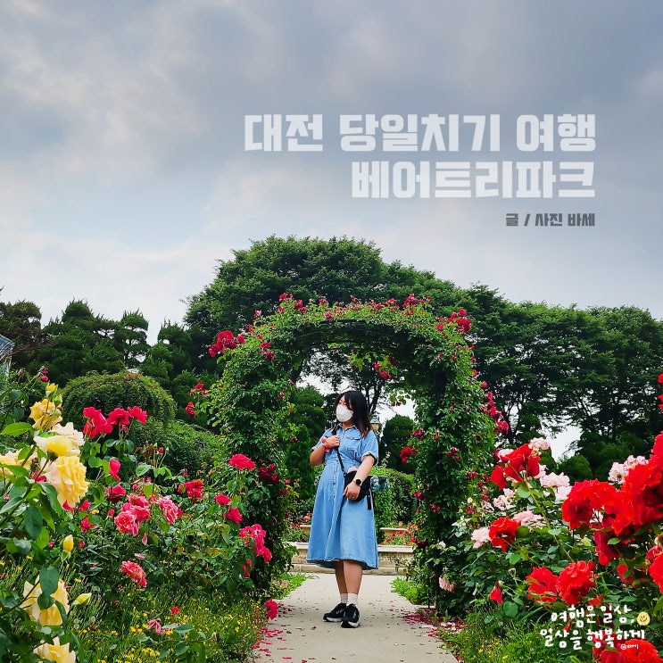  대전 당일치기 여행, 세종 베어트리파크 수국 장미 대전 근교 6월 가볼만한곳