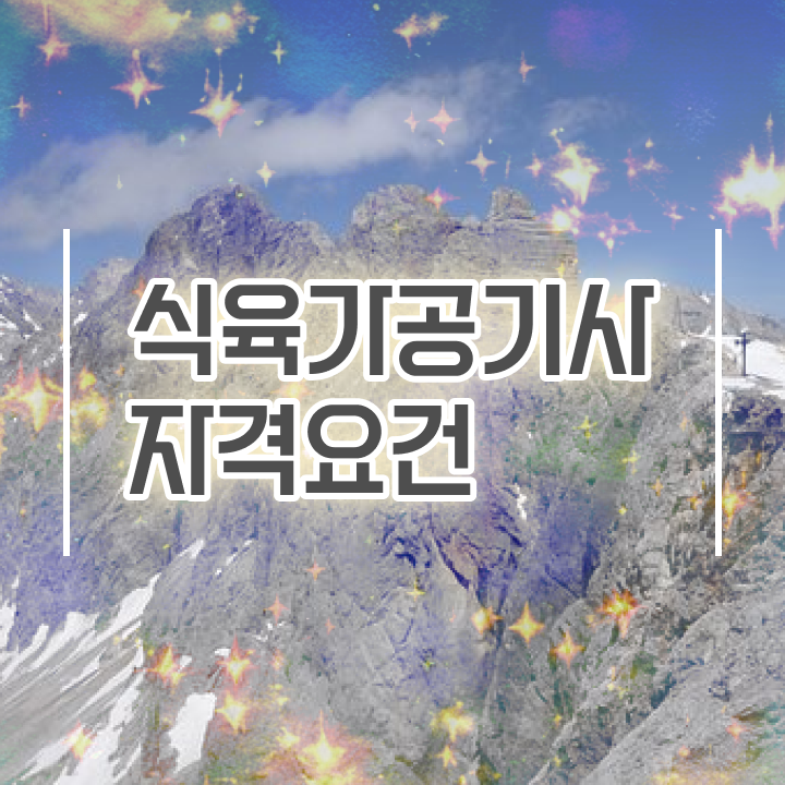  식육가공기사 취득자격 인강만 듣고 간단하게 성공한 방법