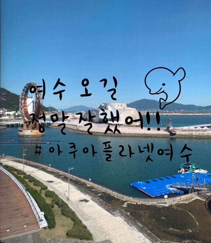  [여수 데이트코스] 아쿠아플라넷 할인 티켓, 벨루가 후기