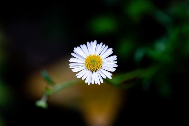 사진 5
