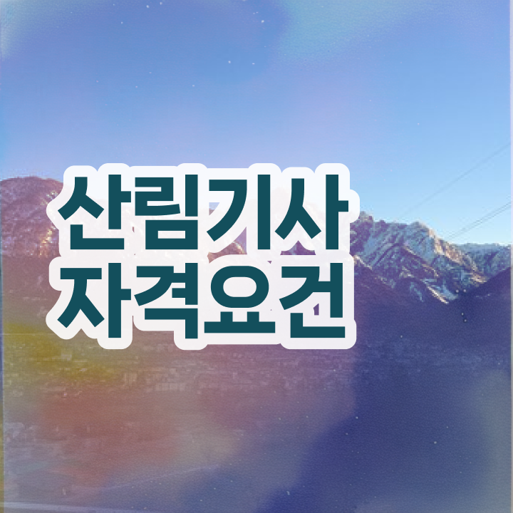  산림기사 기간 산림기사 자격요건 인강으로 5달만에 완료한 비법