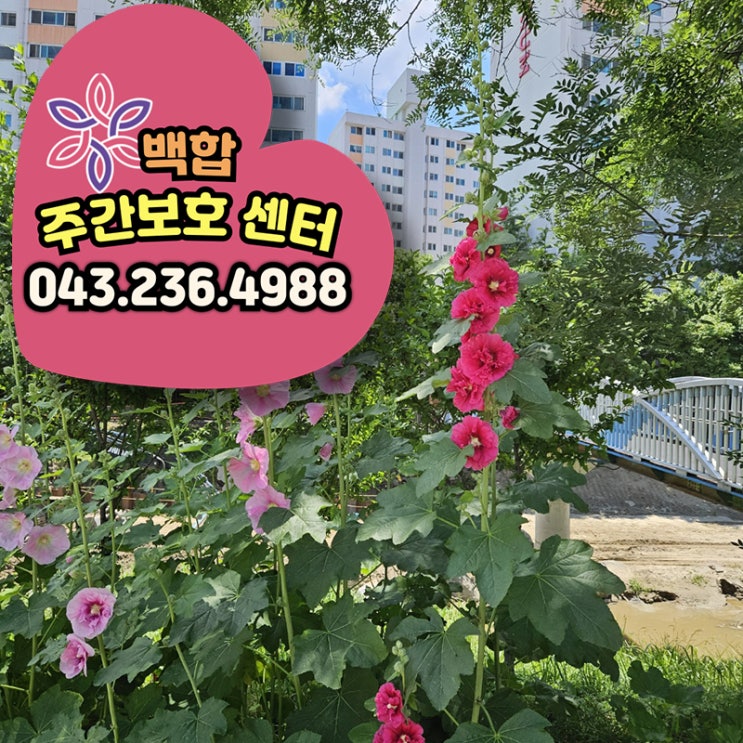  청주주간보호센터 어르신들과 함께하는 6월, 즐거운 활동으로 건강 챙기기!