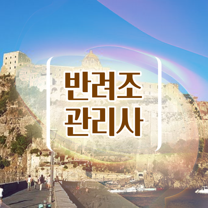  퀘이커 앵무새 키우기 , 반려조관리사 자격증 간단하게 합격한 후기 , 고용 전망