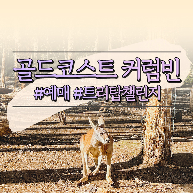  골드코스트 커럼빈 야생동물 공원, 위치 가는방법 지도 입장권 가격 트리탑 챌린지