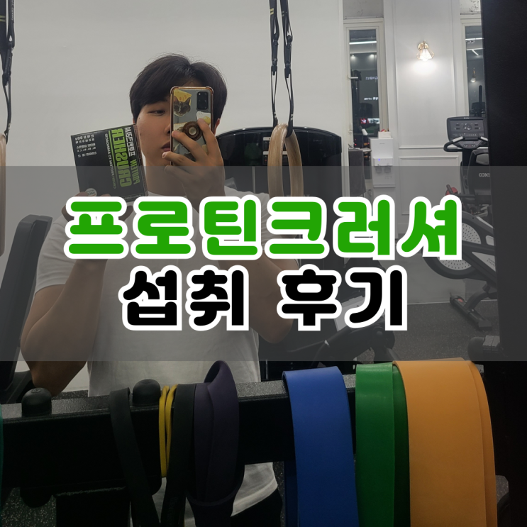  단백질 흡수를 도와주는 프로틴크러셔 바실로자임 섭취 후기