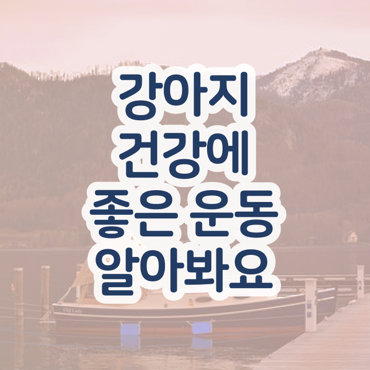  남양주 강아지 운동장 반려견운동지도사자격증 합격 비법 및 무료과정 혜택