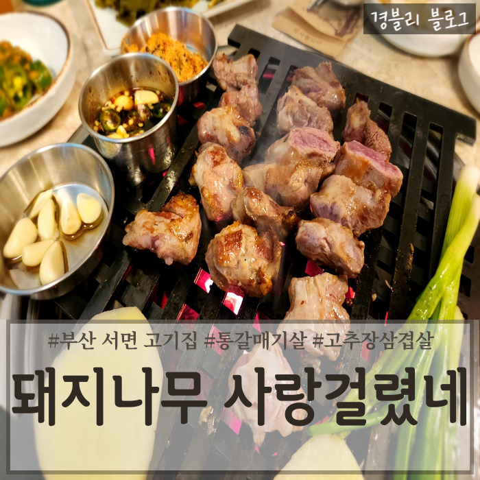  부산 서면고기집 통갈매기살 고추장삼겹살 전포맛집 '돼지나무 사랑걸렸네'