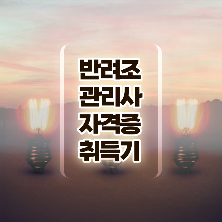 코뉴어 앵무새 , 반려조관리사 자격증 준비한 방법 공유드려요