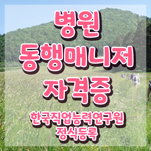  10대 자격증 추천 , 관련학과 아니어도 병원동행사 걱정하지 말아요