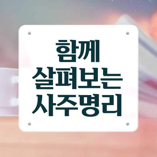  인터넷 사주 , 심리상담사 자격증 1급,2급 동시에 준비한 과정 및 취업 전망