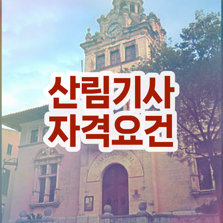  산림기사 시험일정 산림기사 자격요건 인강만 듣고 쉽고 빠르게 성공한 전략