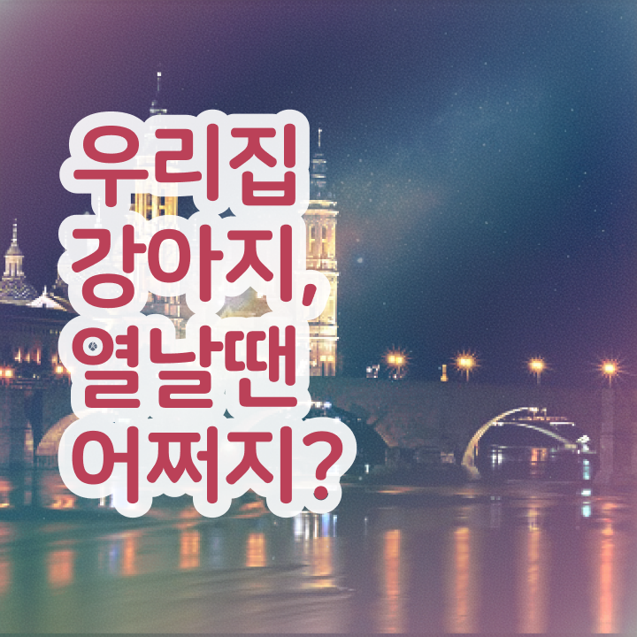  반려동물관리사 , 반려동물관리사 자격증 비용없이 온라인으로 합격한 전략 총 정리