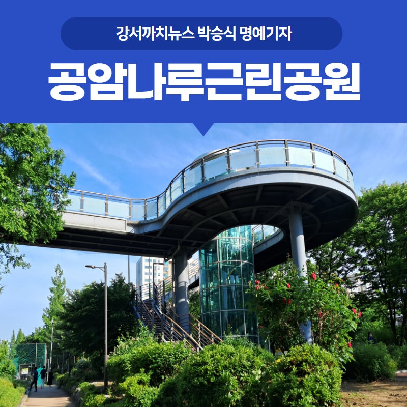 사진 6