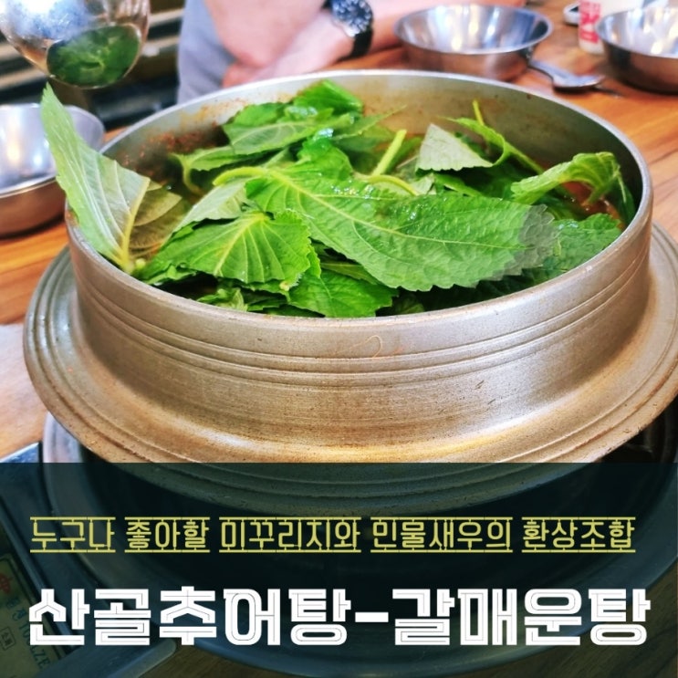  화성 보통리저수지 뷰 맛집 산골추어탕 재방문