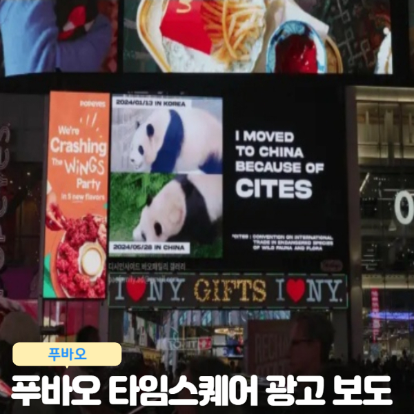  푸바오 뉴욕 타임스퀘어 광고 보도 중국 판다 외교 시험대 학대 의혹