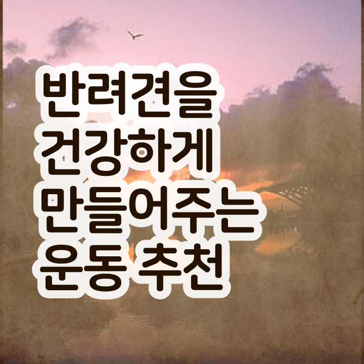 반려동물 관련 직업 , 반려견운동지도사 경력없는 사람도 인강으로 간단하게 준비했던 방법