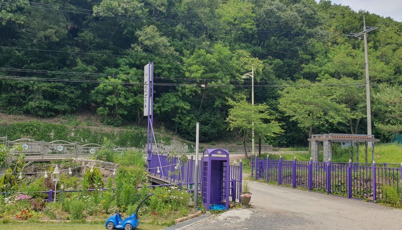 사진 10