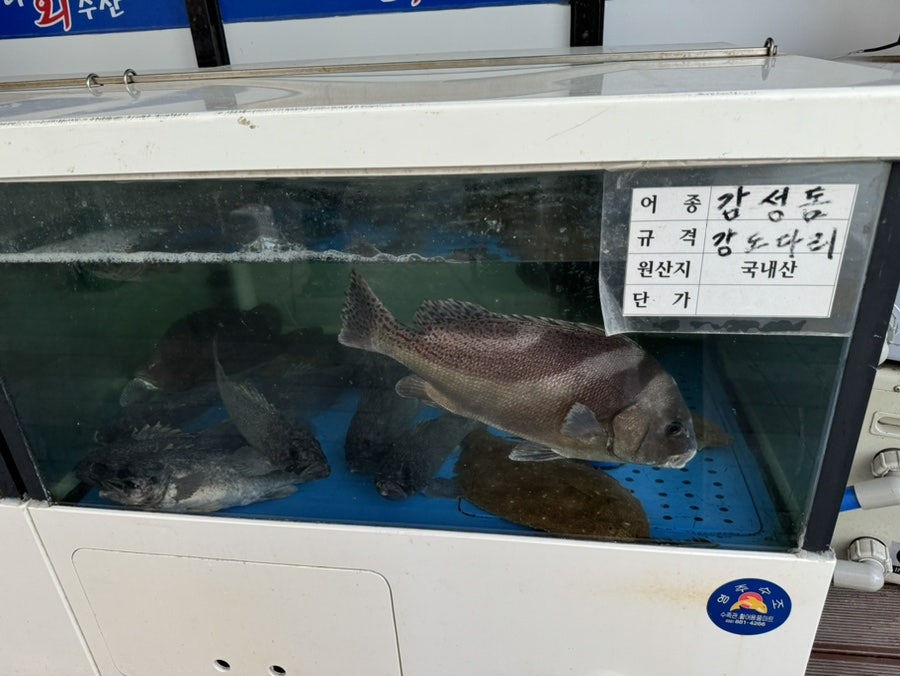 두우리회수산 사진 3