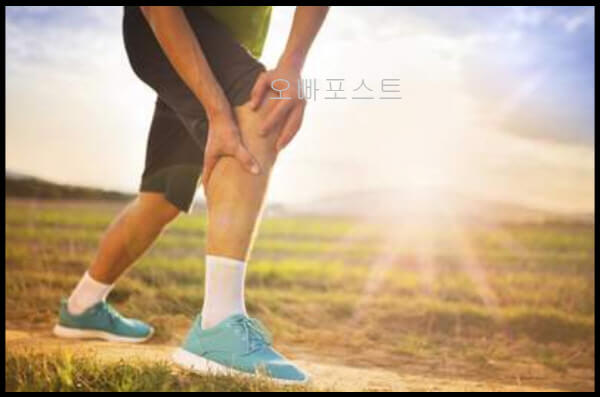  무릎 안쪽 통증 원인과 치료법, 전문가의 조언 제공