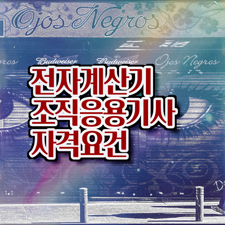  전자계산기조직응용기사 준비기간 전자계산기조직응용기사 취득자격 온라인으로 4달만에 성공한 전략