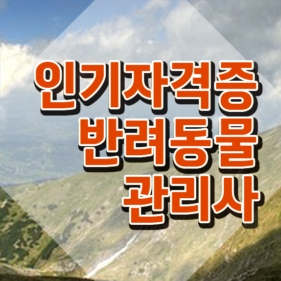  반려동물 관리사 , 반려동물관리사 자격증 15일 만에 취득한 방법 , 취업