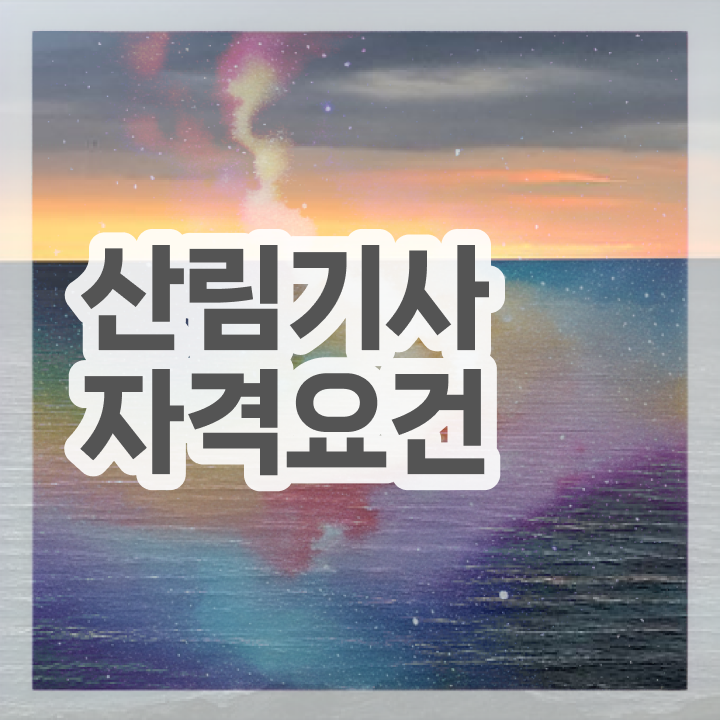  산림 기사필기 산림기사 응시조건 인강만 듣고 5개월 만에 준비한 팁