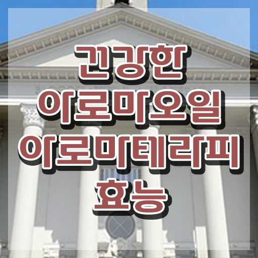 아로마뷰티diy지도사 응시자격 , 아로마뷰티DIY지도사 자격증 온라인으로 합격한 전략 및 활용 방법