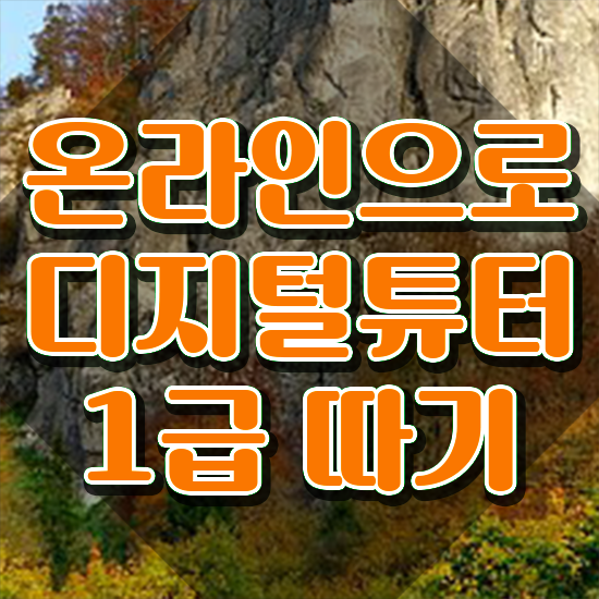  디지털리터러시 , 20일 만에 디지털튜터자격증 합격한 후기