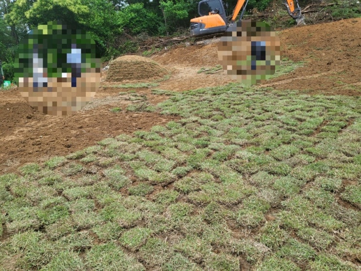  2024년 김천시 대항면 산소 본붕 3기 및 잔디조성 공사 고인돌장묘개발 #손없는날 #윤달 #벌초 #이하늘장사 #장의사 #이장 #화장 #김천이장 #구미이장 #선산이장 #상주이장