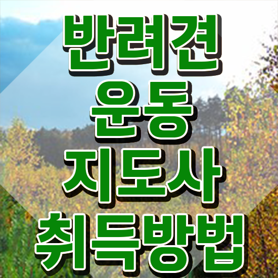  반려동물관리사 시험 쉽고 빠르게 반려견운동지도사자격증 취득 노하우