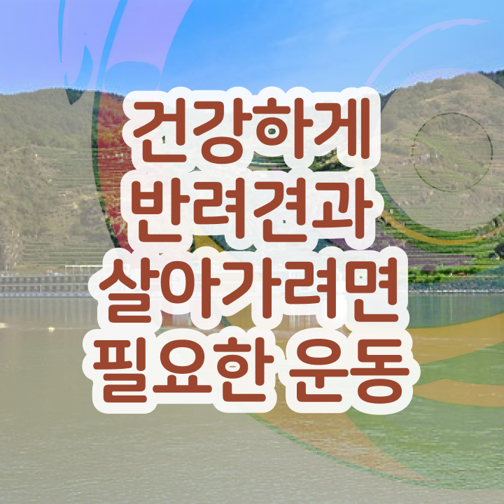  동물관리사 , 반려견운동지도사자격증 응시자격 없이 취득했던 후기