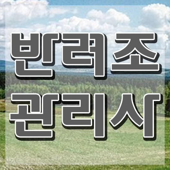  앵무새 수명 , 반려조관리사 자격증 취득한 과정 궁금하다면