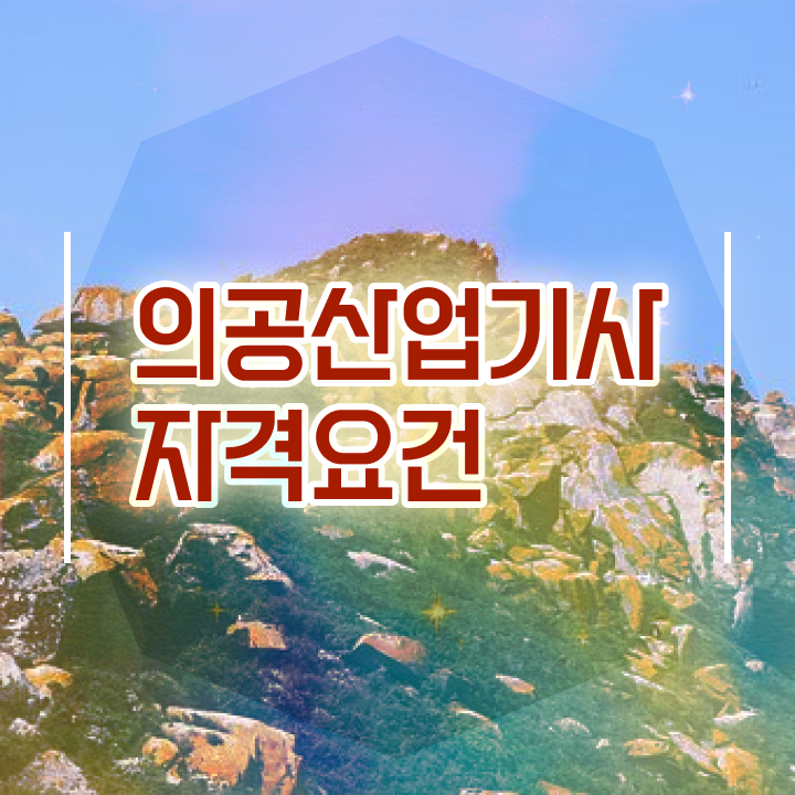 의공산업기사 응시자격 온라인 과정으로 5달만에 끝낸 노하우
