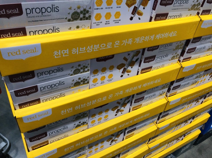  6월 첫째 주 코스트코 구강케어 용품 치약, 칫솔, 구강청결제, 치실 할인 상품
