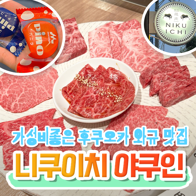  후쿠오카 야키니쿠 맛집 니쿠이치 야쿠인 예약 메뉴