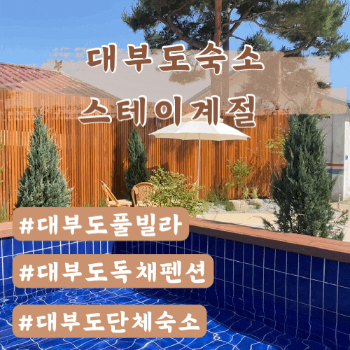  대부도독채풀빌라 스테이계절 내돈내산후기